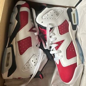 Jordan retro carmine 6s